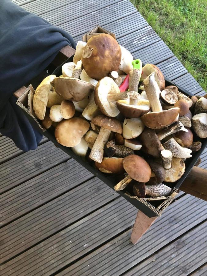 Ferienhaus Osada Skoczkowo Komfortowe Z Jacuzzi Nad Jeziorem- Sauna- Balia- Prywatny Staw Wedkarski *